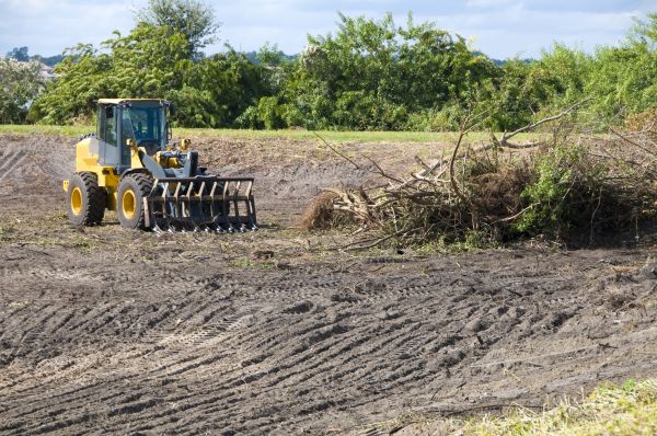 Boca Raton Land Clearing